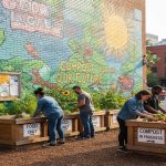 Implementing a Community Composting Drop Off Program